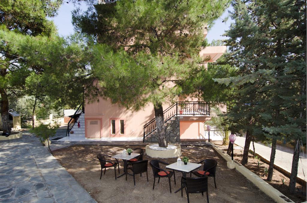 Studios Chrissi Limenaria  Oda fotoğraf